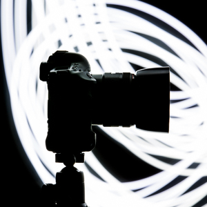 sumodori.com_C_PPDC_002