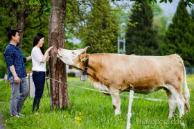 스위스스냅_그린델발트스냅_인터라켄신혼여행스냅_그린델발트허니문스냅_인터라켄스냅_스위스신행스냅_스위스사진작가_최준철_sumodori_joon