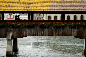 스위스스냅_루체른스냅_스위스허니문스냅_스위스신혼여행스냅_스위스신행스냅_루체른여행_루체른공원스냅_준포토그라프_sumodori.com_photograp